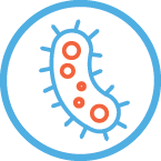 Gonorrhea