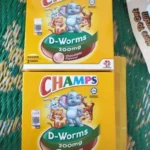 Champs Vitamin C 100mg Chewable Tablet (Lysine Fruiti)