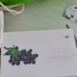 JH Nutrition Flvright 450mg Vegecap