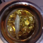 Pristin Omega 3 Fish Oil 1200mg Capsule