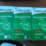 Bio-Life Glucosamine 750mg Tablet