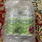 Solaray Saw Palmetto Berries Capsule