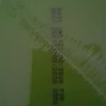 Nutrixlim Protein Shake Can 700gm