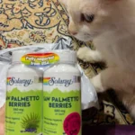 Solaray Saw Palmetto Berries Capsule