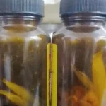 Champs Vitamin C 30mg Chewable Tablet (Orange)