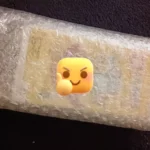 Champs Vitamin C 250mg Plus Zinc Effervescent Tablet