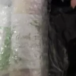 V-Infinity Spirulina + Ginkgo Tablet 200mg Tablet 200s