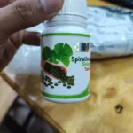 V-Infinity Spirulina + Ginkgo Tablet 200mg Tablet 200s