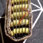 Flavettes Neuroforte Tablet 10s (strip)