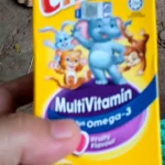 Champs Multivitamin with Omega-3 Chewable Tablet (Fruity) 60s