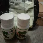 V-Infinity Spirulina + Ginkgo Tablet 200mg Tablet 200s