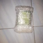 Hurixs Kapsul Tongkat Ali Plus Capsule