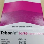 Tebonin Forte 120mg Tablet