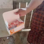 Nanofine Pen Needles 100s