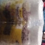 JH Nutrition Immucol Kids Gummies (Black Elderberry)