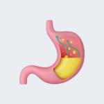 Digestive System