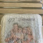 JH Nutrition P2 (Prebiotic + Probiotic Powder) 3g